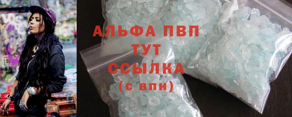 крисы Вязьма
