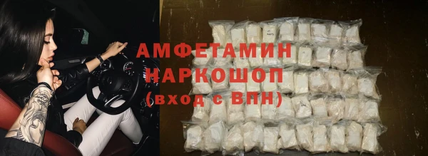 крисы Вязьма