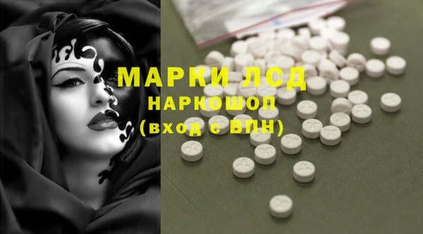 крисы Вязьма