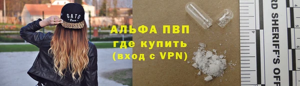 стафф Вяземский