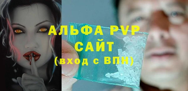стафф Вяземский