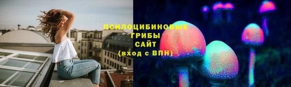 стафф Вяземский