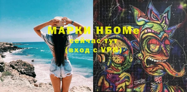 крисы Вязьма