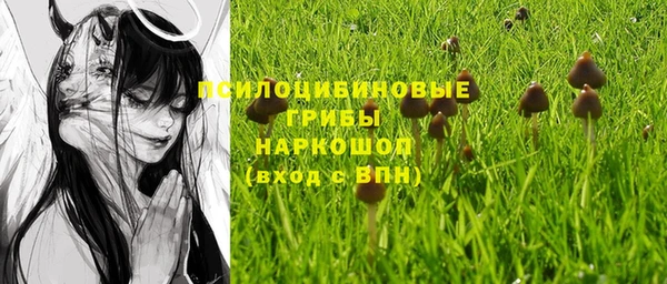 крисы Вязьма
