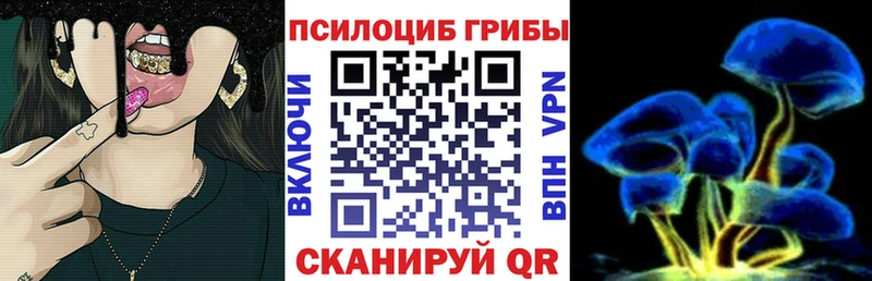 Купить  Каспийск  Галлюциногенные грибы мицелий 